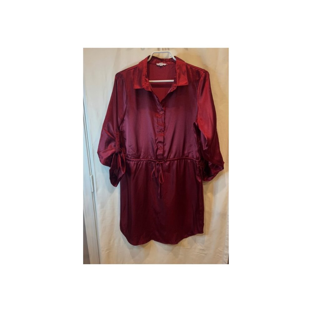 Burgundy Silk Dress